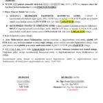 Bilirkişi Raporu-12