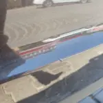 fghgfhdfhjdghjg